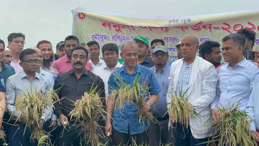কৃষকের ধান কেনায় সিন্ডিকেট হলে সোজা করে দেবো: কৃষি উপদেষ্টা