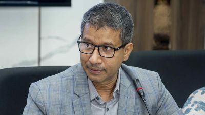শস্যবৈচিত্র্যের দিকে মনোনিবেশ করেছি