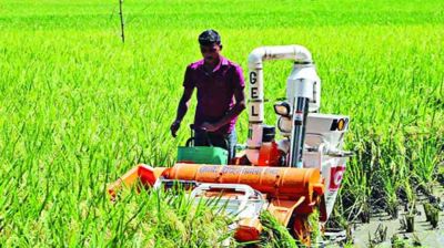 টেকসই কৃষি প্রযুক্তির উদ্ভাবনে বাড়ছে ফলন
