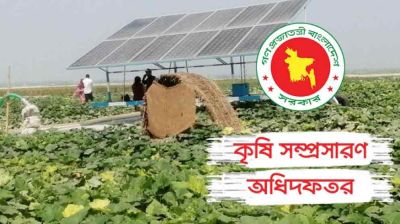চর এলাকায় সম্প্রসারিত হচ্ছে আধুনিক কৃষি প্রযুক্তি