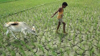 জলবায়ুর নতুন ছকে বদলে যাচ্ছে কৃষির ভবিষ্যৎ