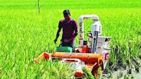 টেকসই কৃষি প্রযুক্তির উদ্ভাবনে বাড়ছে ফলন
