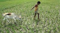 জলবায়ুর নতুন ছকে বদলে যাচ্ছে কৃষির ভবিষ্যৎ