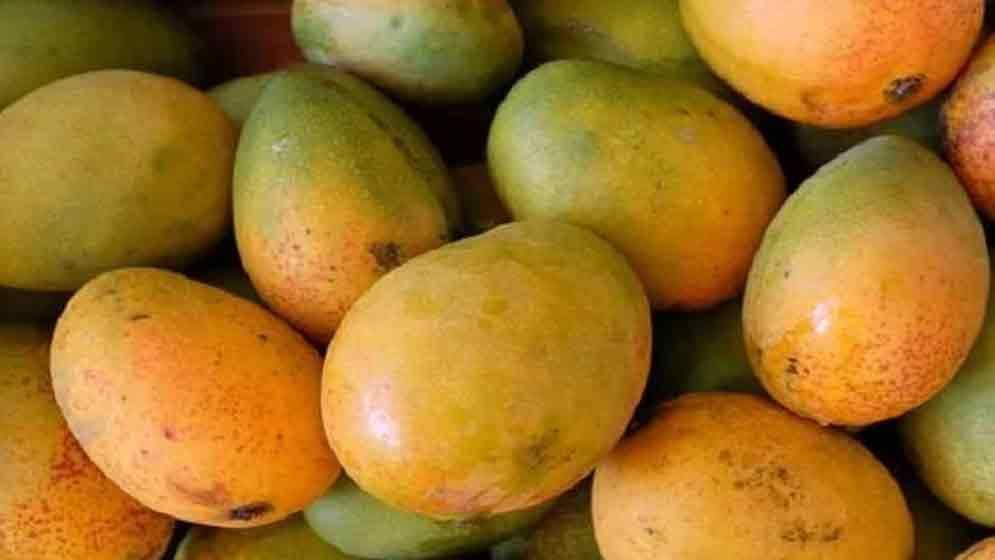 বাংলাদেশের আম বিশ্ববাজারে