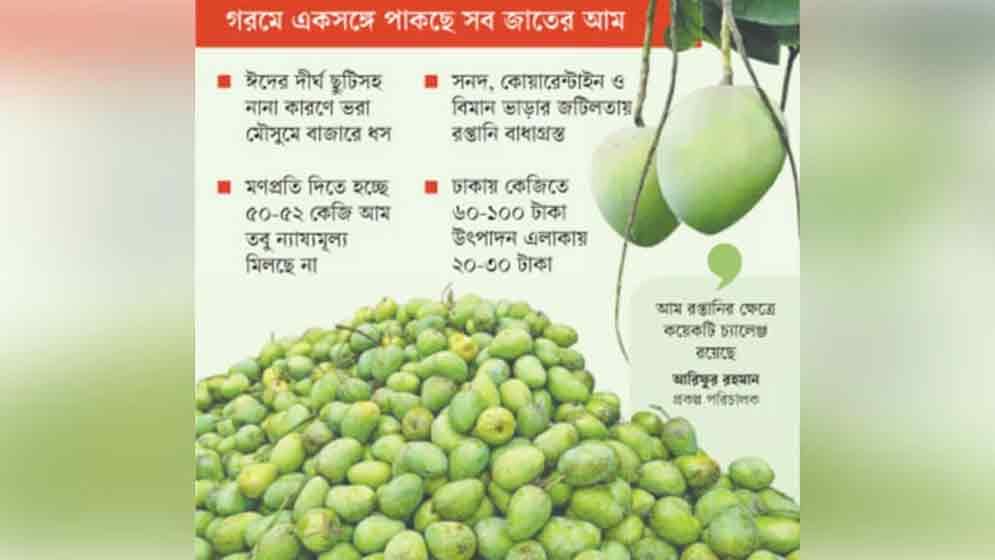 আমের বাজার ভালো না
