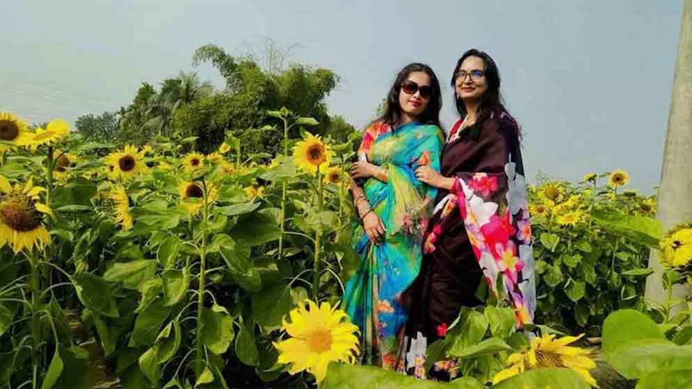 সূর্যমুখীর বাগানে দর্শনার্থীদের ভিড়, লাভের আশায় উদ্যোক্তারা