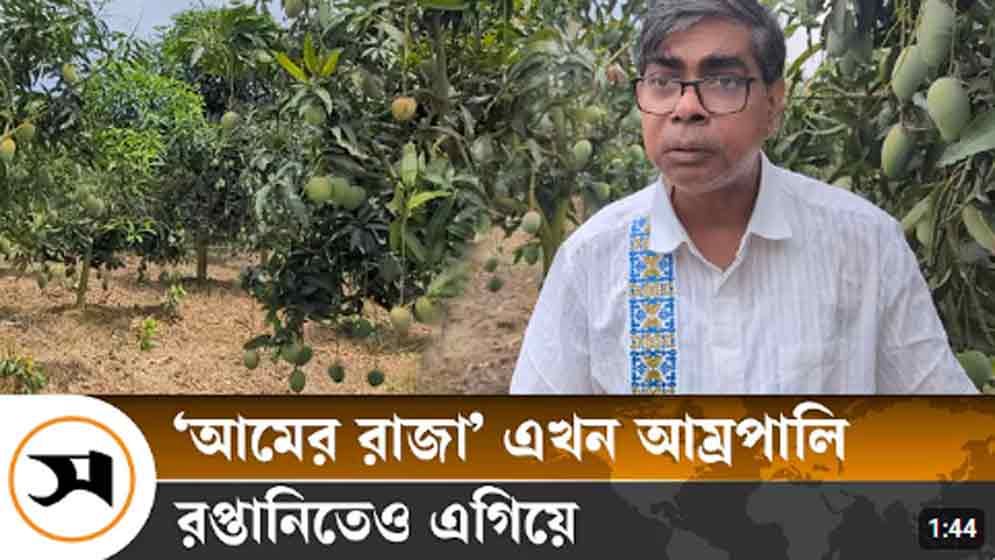 ‘আমের রাজা’ এখন আম্রপালি, রপ্তানিতেও এগিয়ে