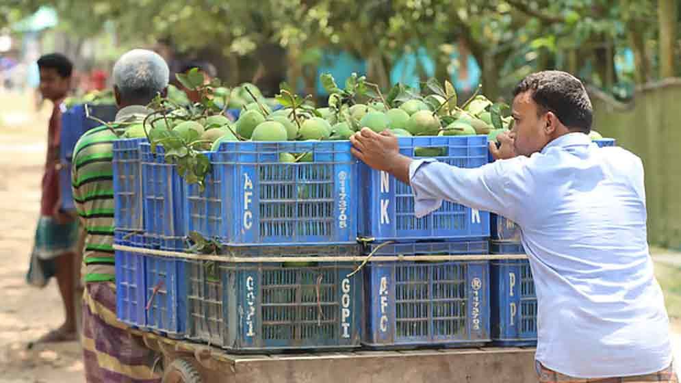 হাঁড়িভাঙা আম