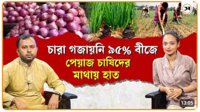 প্রণোদনার বীজে কাঁদছে চাষি