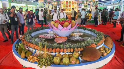 মেলায় ফলের সমাহার