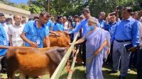 কোনো রোগেই যেন প্রাণীর কষ্ট না হয়