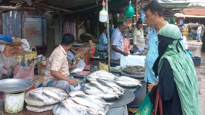 ইলিশের দাম নির্ধারণ উদ্যোগে ক্ষোভ ব্যবসায়ীদের, সন্তুষ্ট ক্রেতারা
