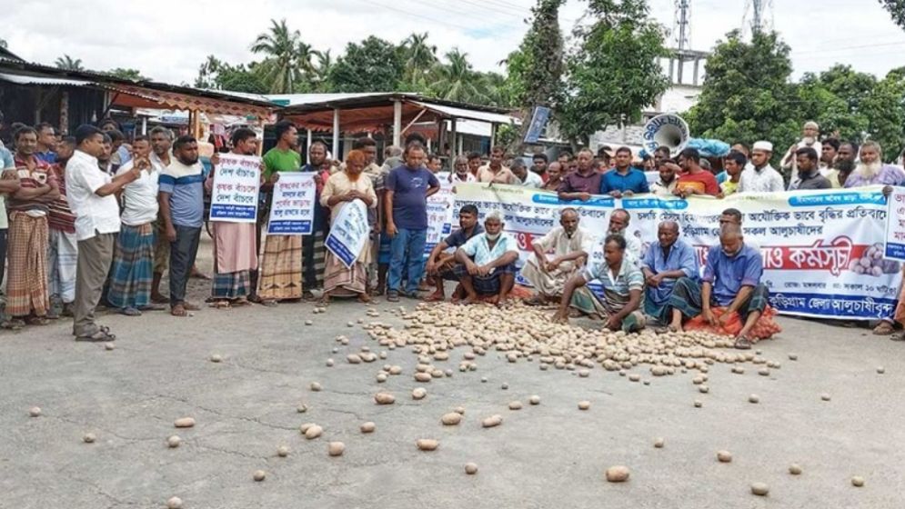 কুড়িগ্রামে হিমাগার ভাড়া বৃদ্ধির প্রতিবাদে সড়কে আলু ঢেলে চাষিদের বিক্ষোভ
