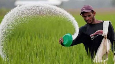 সার আমদানির এক টেন্ডারেই ২৩৪ কোটি টাকা সাশ্রয়