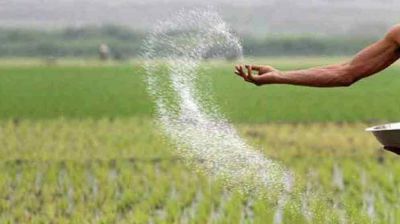 ১৬ বছর পর কৌশল বদলে সার আমদানিতে বড় সাশ্রয়