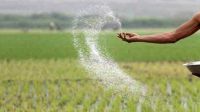 ১৬ বছর পর কৌশল বদলে সার আমদানিতে বড় সাশ্রয়