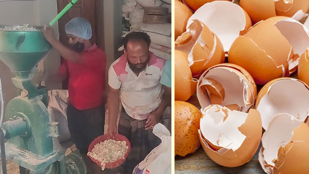 ডিমের খোসা থেকে জৈব সার: বেলালের সাফল্য অন্যদের দিচ্ছে অনুপ্রেরণা