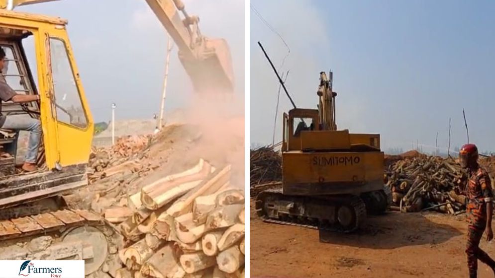 সুবর্ণচরে দুই অবৈধ ইটভাটায় অভিযান, ২ লাখ টাকা জরিমানা