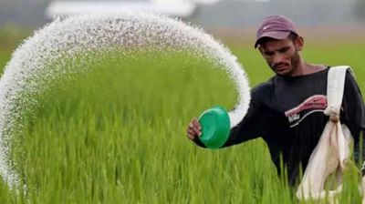 অবৈধ মুনাফা কমায় সক্রিয় পুরোনো সার সিন্ডিকেট