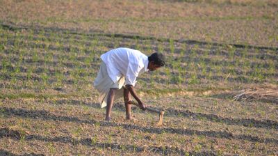 চৈত্রে অস্বাভাবিক আবহাওয়া: কুয়াশা, তাপপ্রবাহ ও বৃষ্টিতে চাপে কৃষি