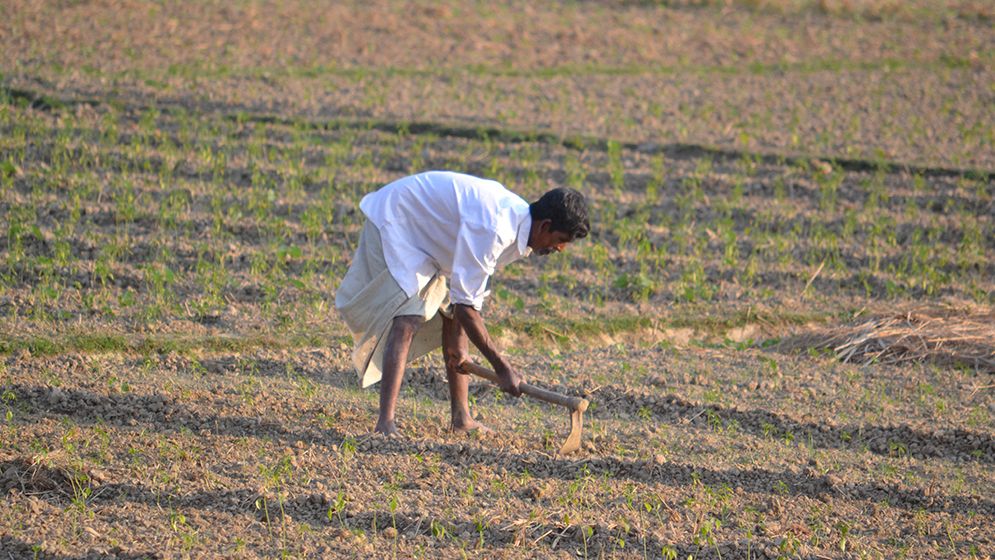 চৈত্রে অস্বাভাবিক আবহাওয়া: কুয়াশা, তাপপ্রবাহ ও বৃষ্টিতে চাপে কৃষি