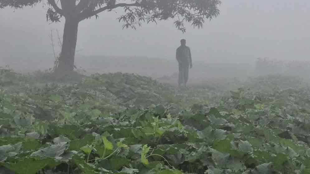 ছন্দহারা চৈত্র, ঝুঁকিতে কৃষি