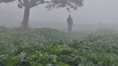 ছন্দহারা চৈত্র, ঝুঁকিতে কৃষি