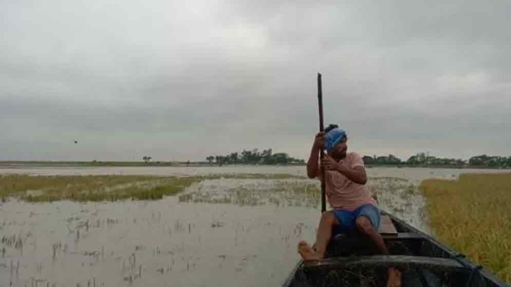তীরে এসে তরি ডুবছে কৃষকের