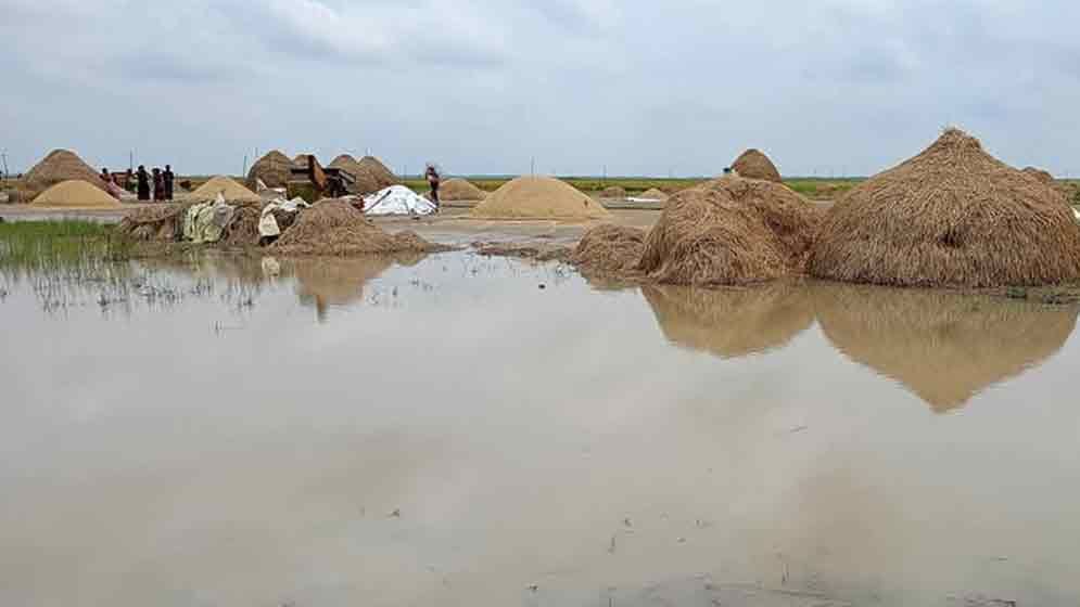 হাওরাঞ্চলে বন্যার উন্নতি হতে এক সপ্তাহ লাগবে