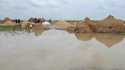 হাওরাঞ্চলে বন্যার উন্নতি হতে এক সপ্তাহ লাগবে