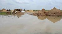 হাওরাঞ্চলে বন্যার উন্নতি হতে এক সপ্তাহ লাগবে