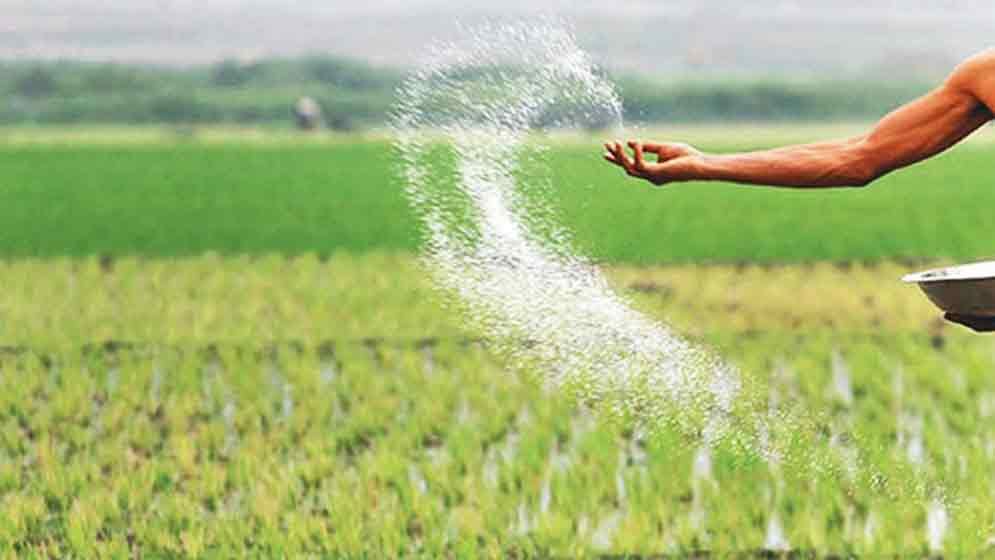 সারে ভর্তুকির অর্ধেক সুবিধা পান সচ্ছল কৃষকরা