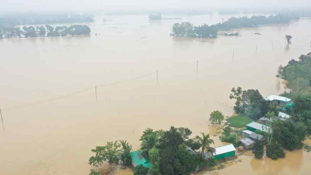 বন্যায় ক্ষতিগ্রস্ত ২৮ হাজার হেক্টরের বেশি ফসল